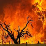 جنگل های بلوط «مُنگره» اندیمشک در آتش می سوزد/ بالگرد تنها راه اطفای آتش سوزی