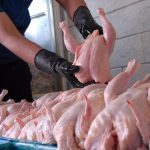 افزایش قیمت مرغ در صورت حذف ارز مبادله‌ای/مکاتبه با وزیر صنعت